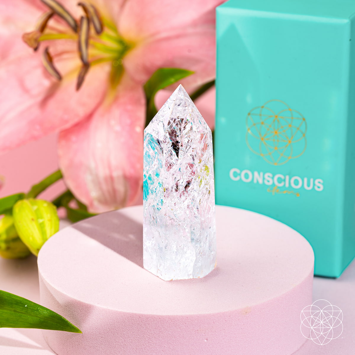 Ice Quartz Point – Frosted Clear Crystal - image 7