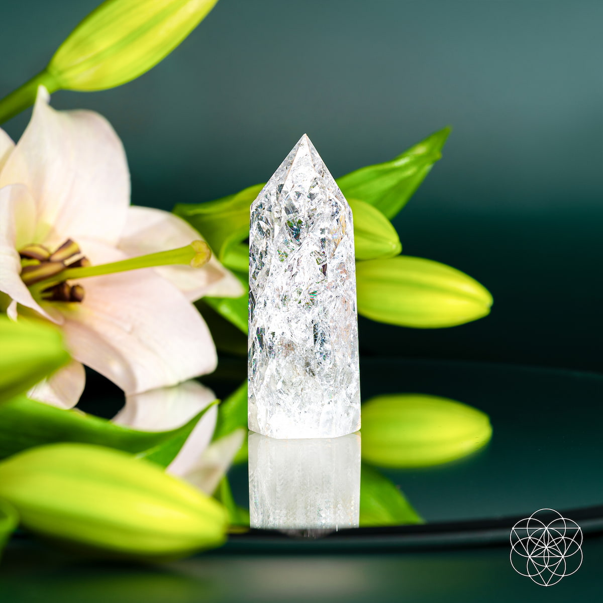 Limitless Manifestation - Ice Quartz Point - image 5