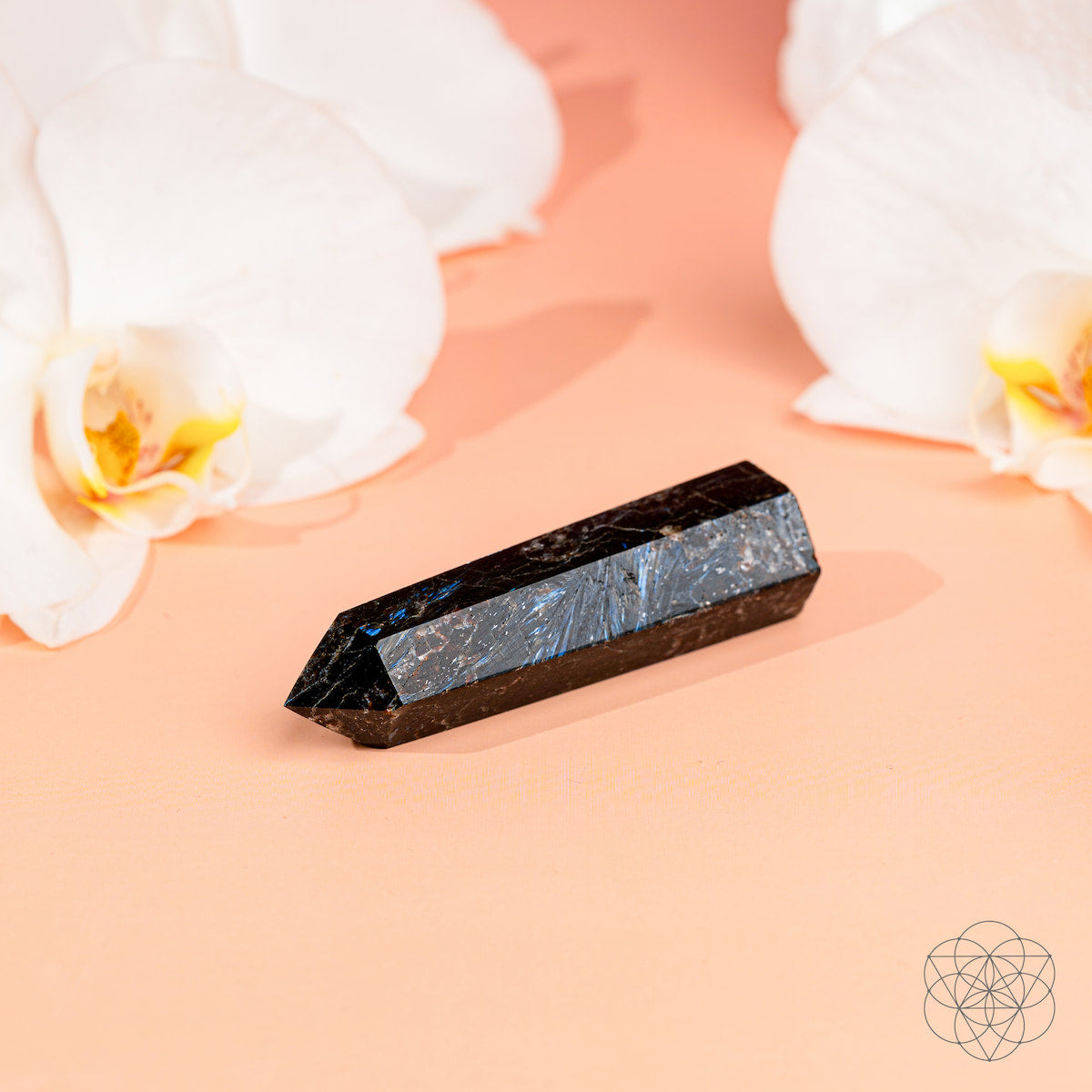 This Is Your Breakthrough – Rare Arfvedsonite Point - image 4