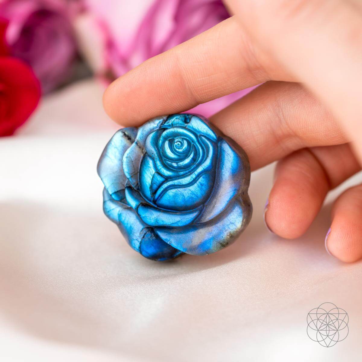 Beautifully Unique - Blossoming Rose of Singularity - image 2