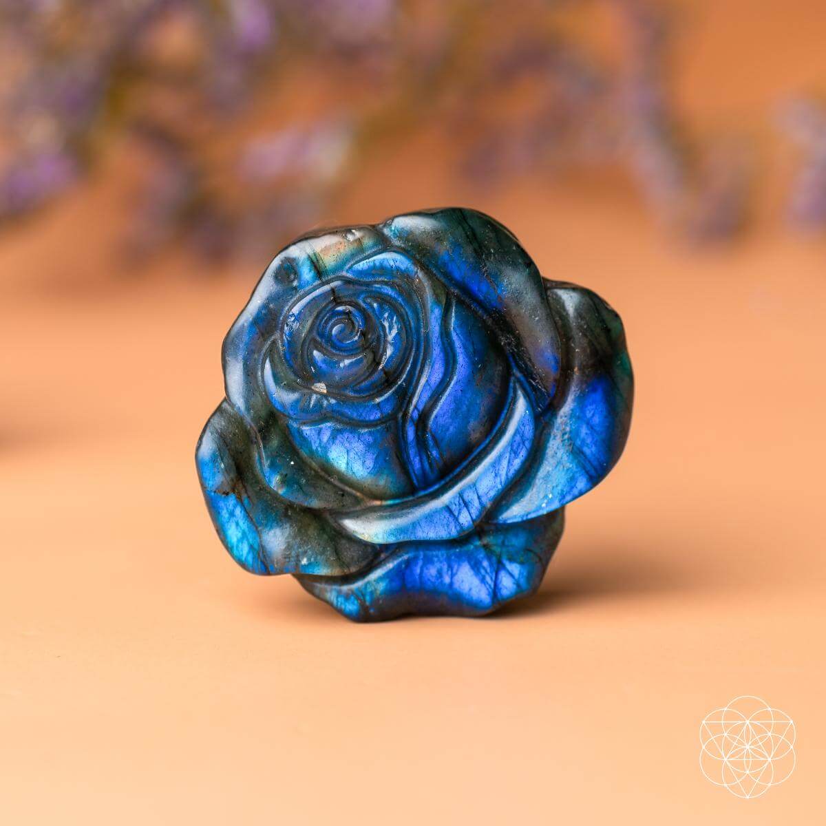 Beautifully Unique - Blossoming Rose of Singularity - image 5