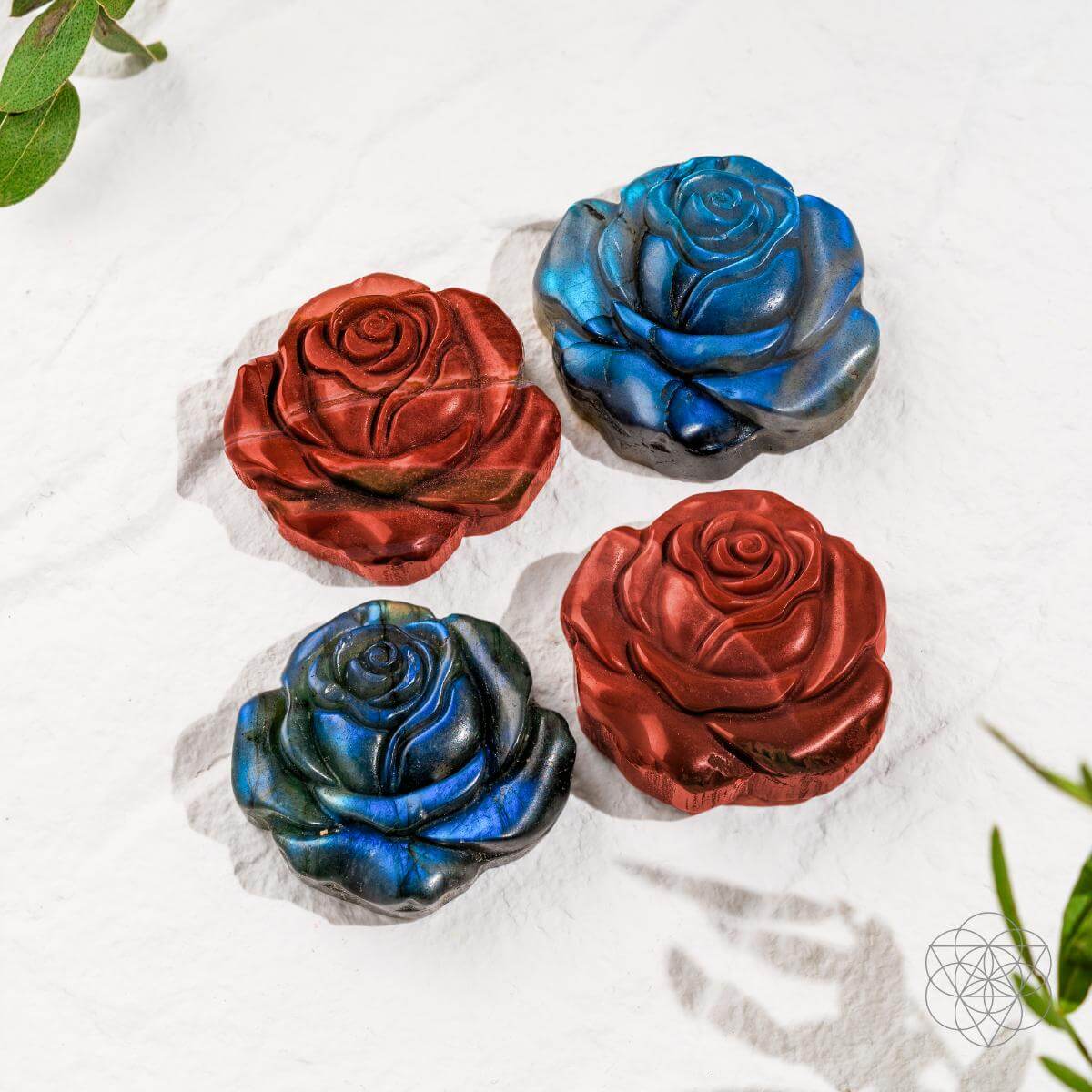 Beautifully Unique - Blossoming Rose of Singularity - image 6